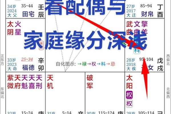 紫薇斗数怎么看有没有孩子