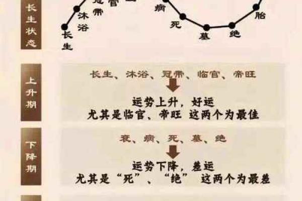 算命的需要学什么专业