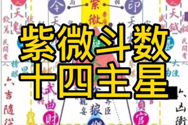 紫薇斗数宗师级