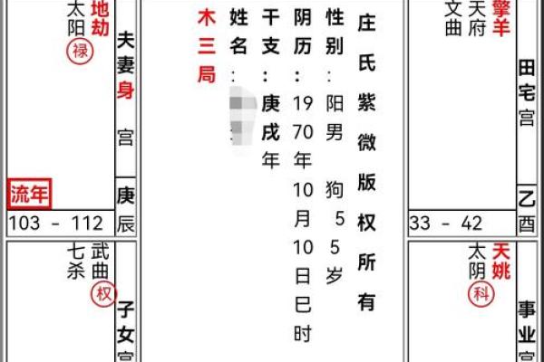紫薇斗数夫妻宫凤阁