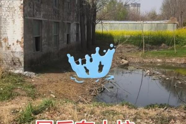 风水房子西边有大坑好不好