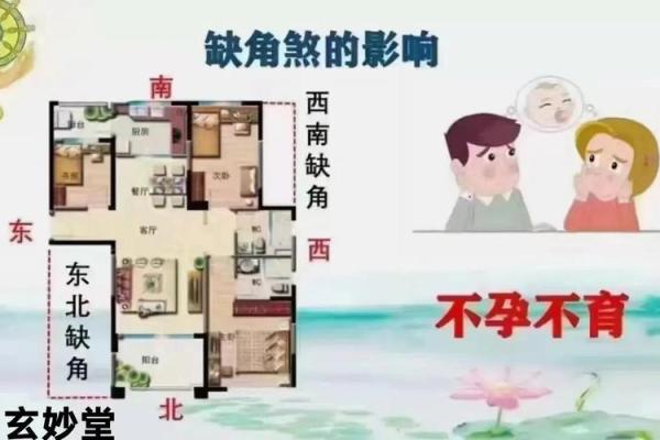 婚姻风水_婚姻中遇到的问题