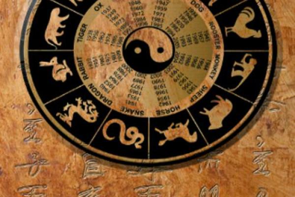 《算命》全集