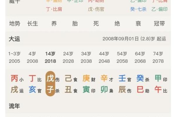 八字己巳大运是什么运势