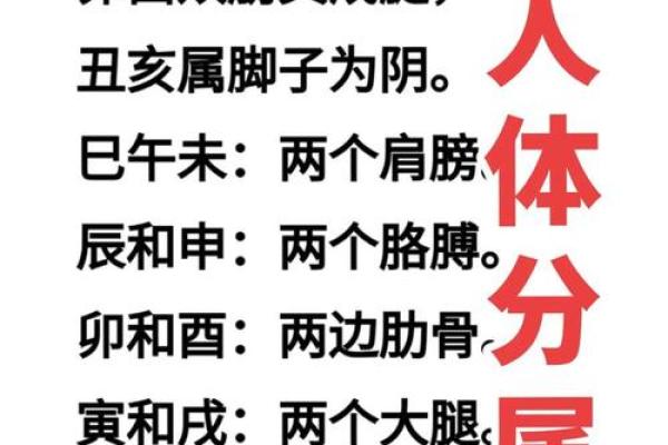 中国有多少种算命方法
