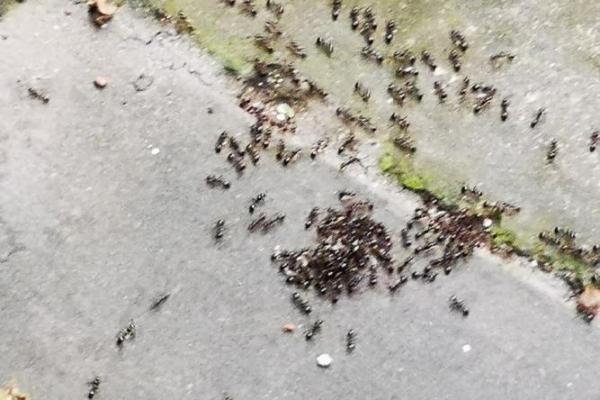 解读下雨天搬家好不好风水会有影响吗