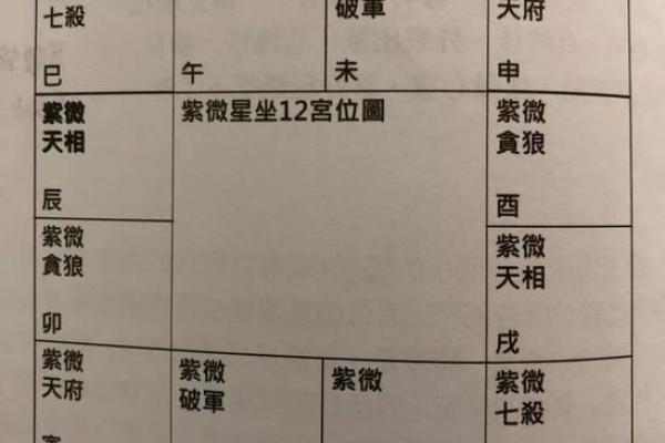 紫薇斗数命书测试
