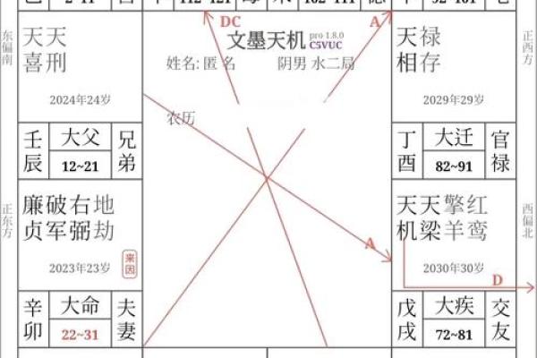 紫薇斗数运势曲线图
