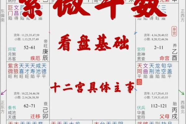 紫薇斗数之星