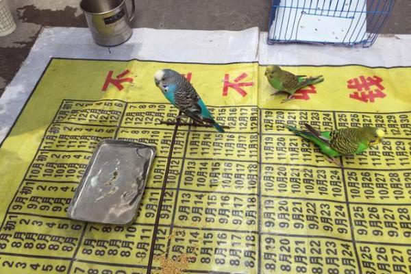 乌鲁木齐市民注意啦！让你抽签算命 这类“和尚”是假的