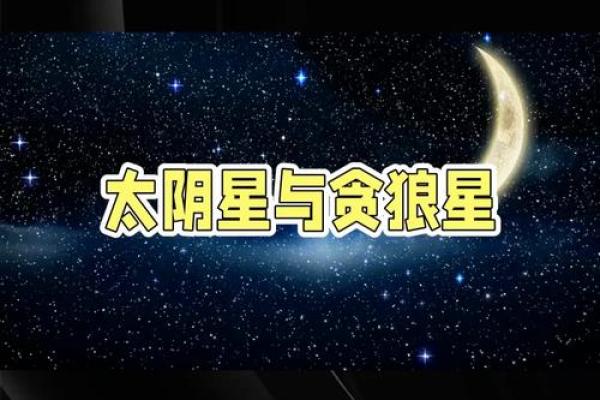 阿金紫薇斗数博客