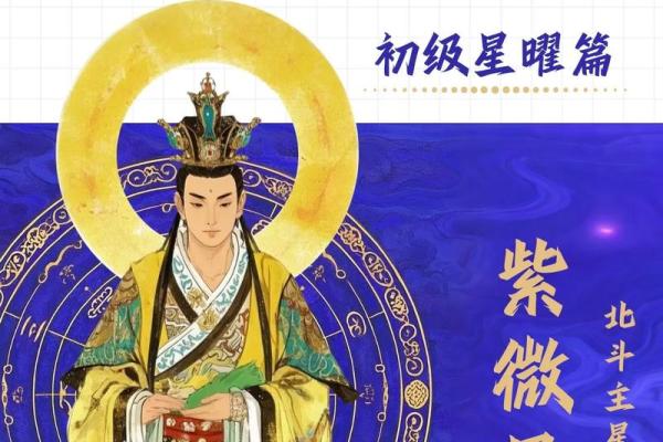 紫薇斗数的巨门