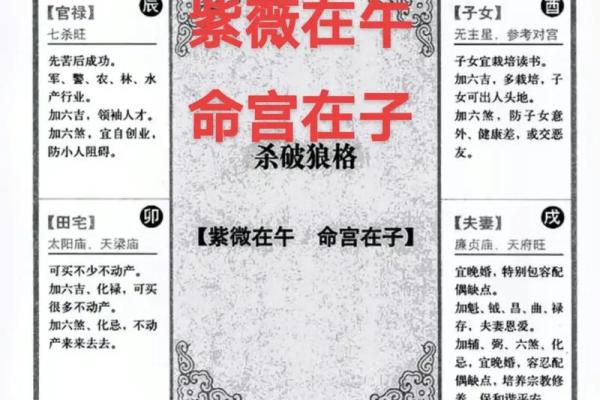 紫薇斗数紫薇入命