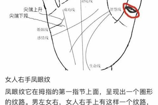 手掌算命男左女右