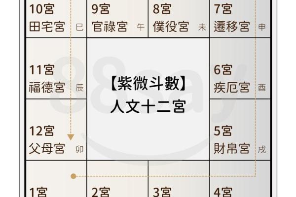 紫薇斗数没有紫薇