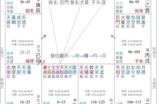 紫薇星辰斗数app