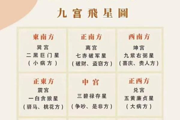 2024年旺财运的最佳方法 家中风水摆放指南
