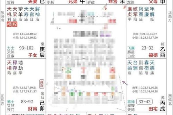紫薇斗数好命盘