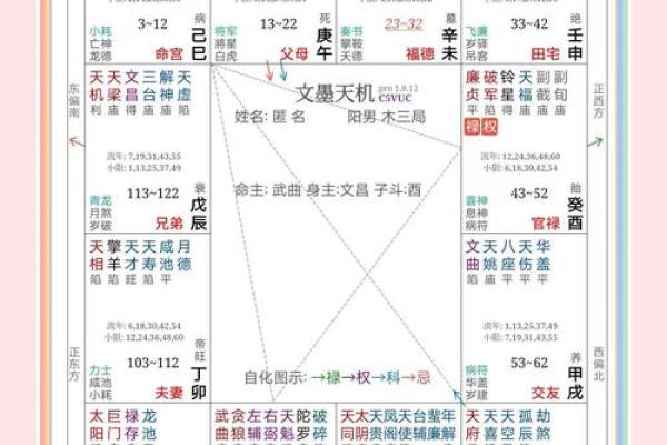 紫薇斗数七杀星