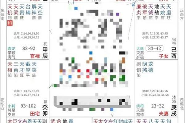 博士紫薇斗数
