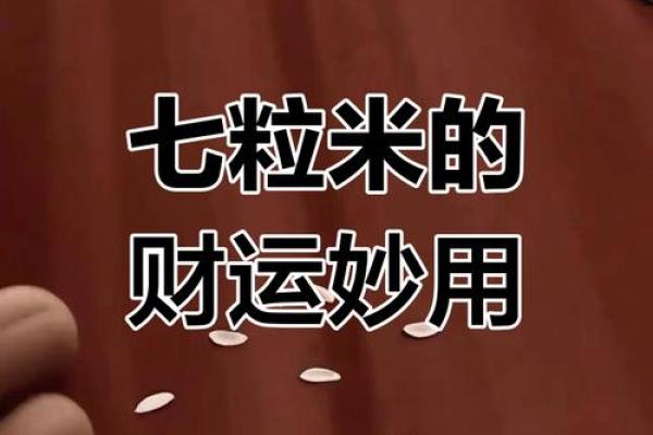 风水七粒米招财最灵的方法是什么意思