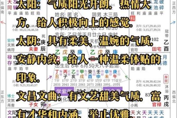 紫微斗数来因宫四度空间  紫微斗数来因宫查询